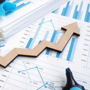 Economics (Std 11)